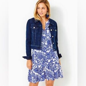 Lilly Pulitzer Alyssa Long Sleeve Dress